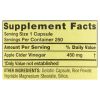 Spring Valley Apple Cider Vinegar Dietary Supplement Value Size, 450 mg, 250 count
